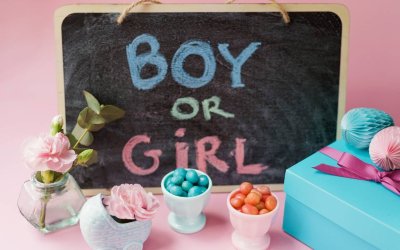 Sibling Gender Reveal Ideas Picnic Makers Love!