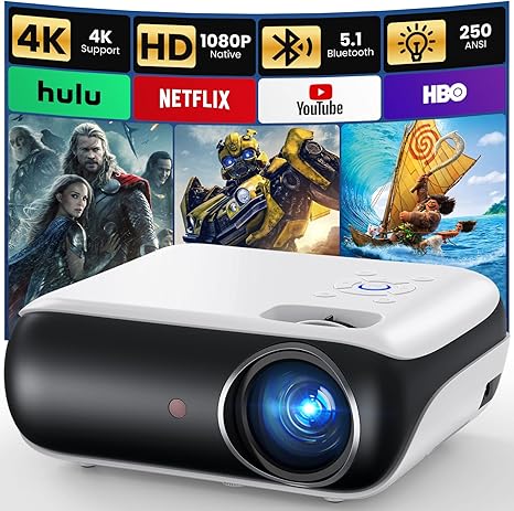 portable outdoor movie projector