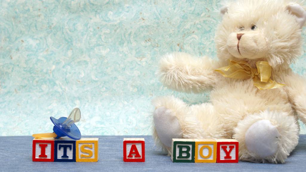 teddy bear with blocks boy reveal