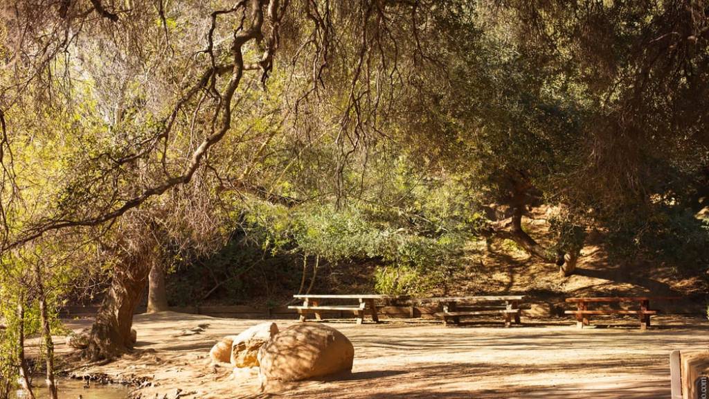 woodland wedding venue los angeles