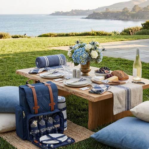 picnic setup with a picnic backpack