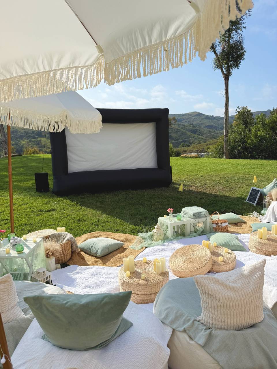 movie night setup services movie night setup services