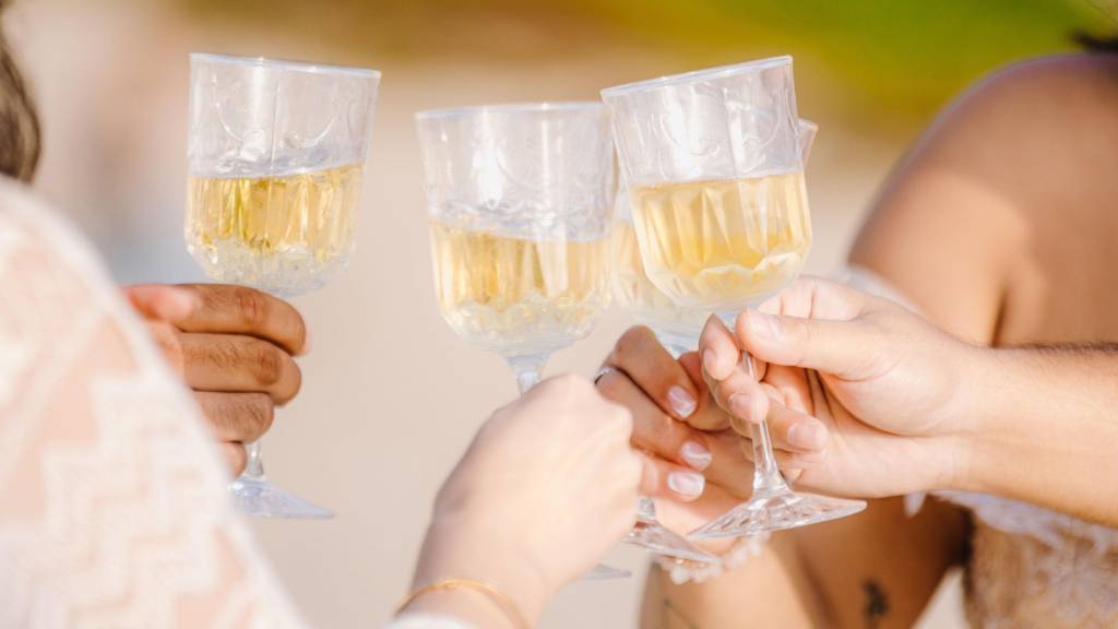 © Picnic Makers - https://picnicmakers.com/ clinking glasses at friendsgiving