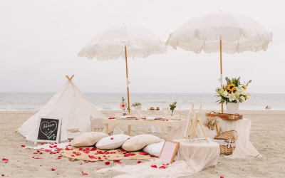 Essential Picnic Supplies: A Pro’s Guide