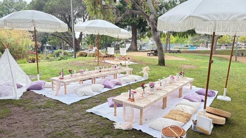 park picnic party setup for 13th birthday