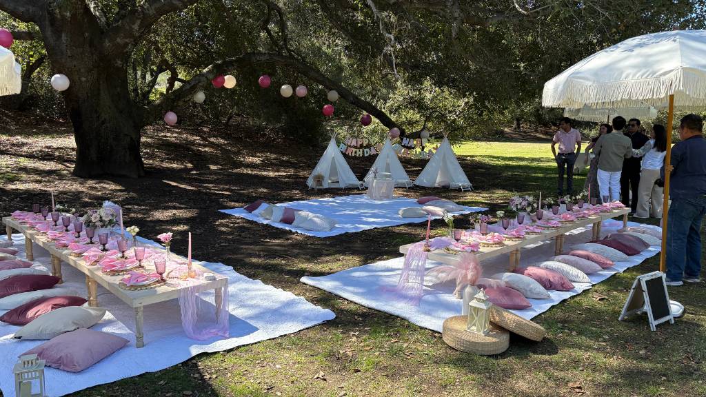 © Picnic Makers - https://picnicmakers.com/ park picnic first birthday setup