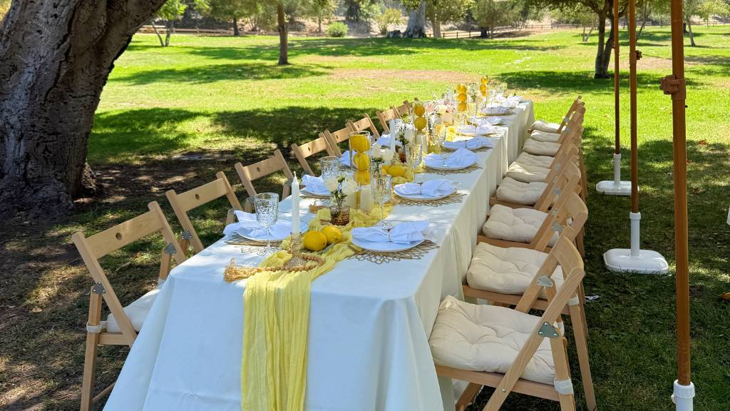 © Picnic Makers - https://picnicmakers.com/ galentines day outdoor tablescape setup