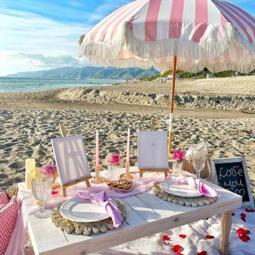 picnic and paint set