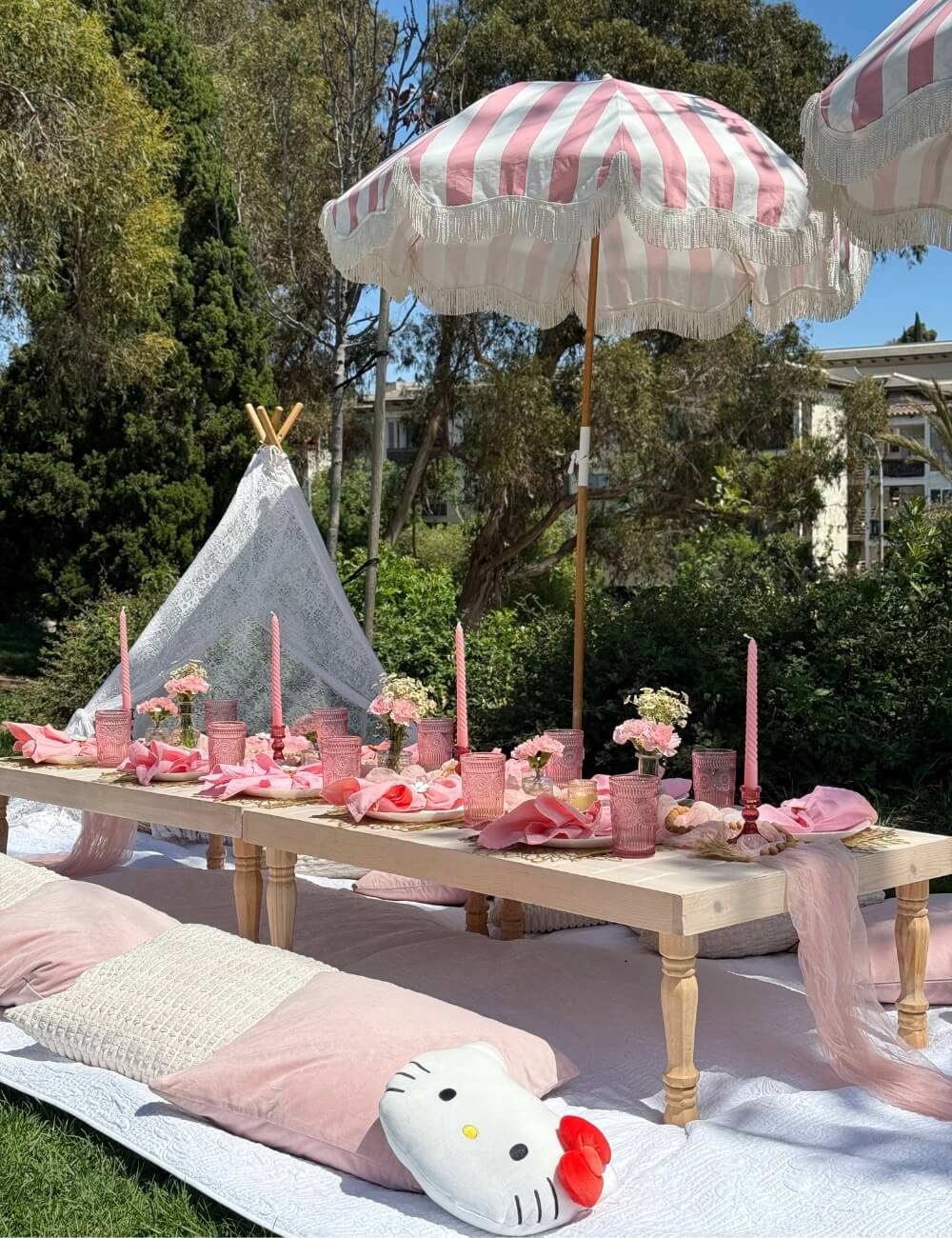 kids birthday picnic