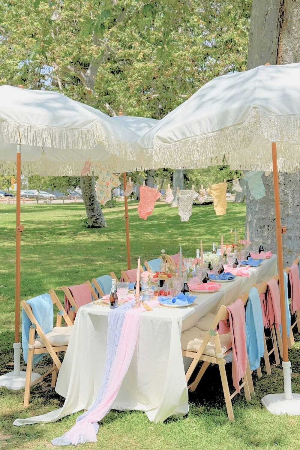 gender reveal setup
