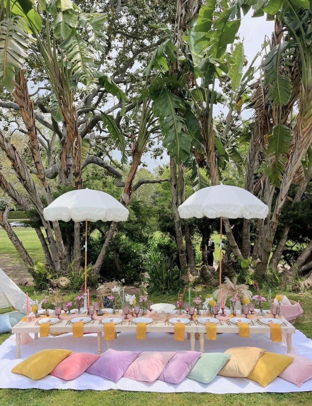 gender reveal setup backyard
