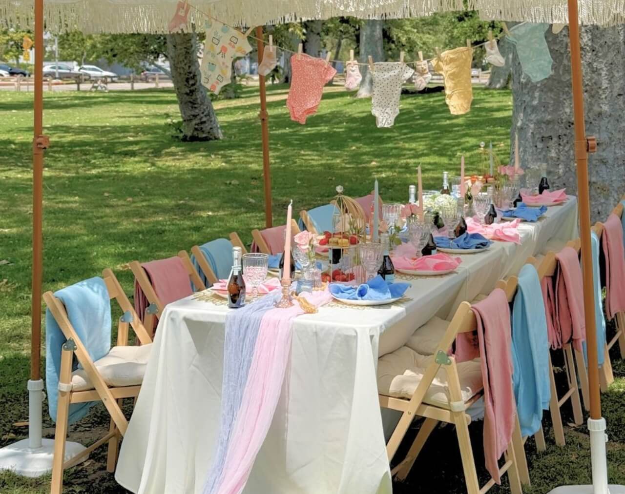 gender reveal ideas