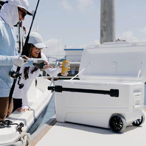 igloo sportsman cooler